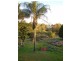 Waterford QLD 4133