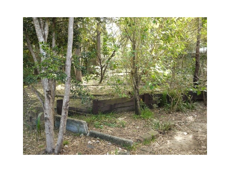 19 Gilia Street, Kingston QLD 4114