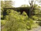 125 Murray Road, Logan Village QLD 4207