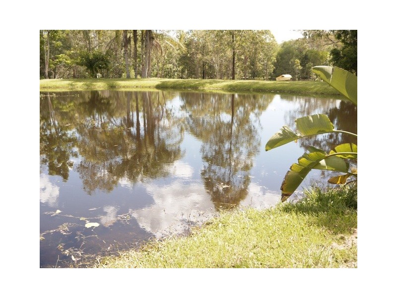 125 Murray Road, Logan Village QLD 4207