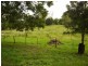 87 Tygum Rd, Waterford QLD 4133