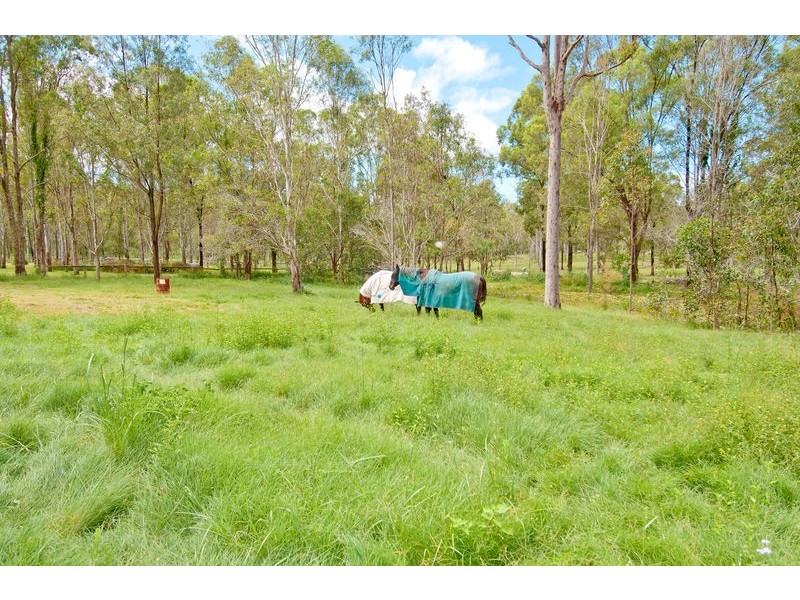 Buccan QLD 4207