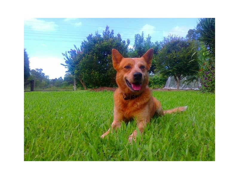 52 Second Avenue, Marsden QLD 4132