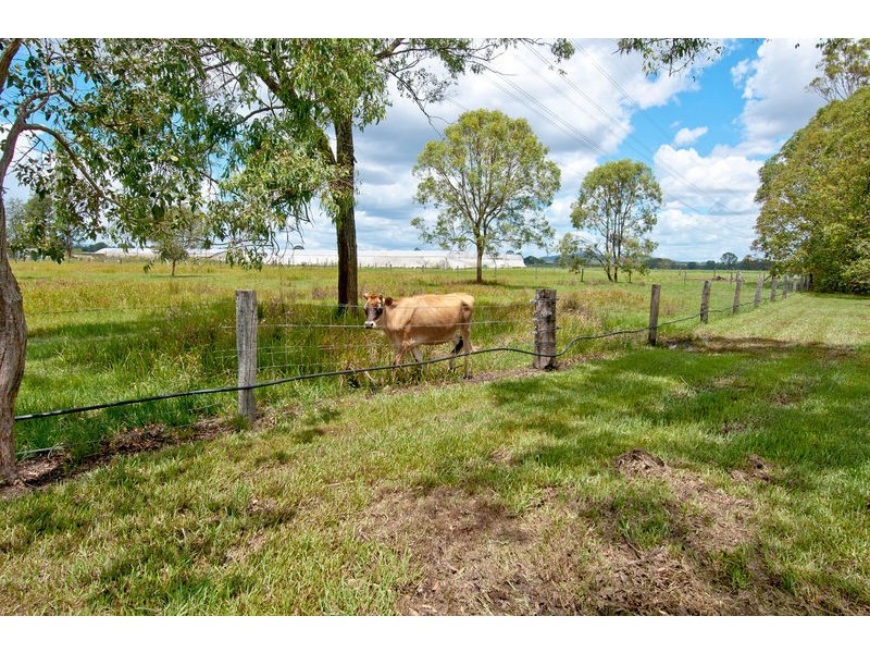 1118 Chambers Flat Road, Chambers Flat QLD 4133