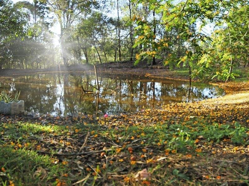 602 Camp Cable Road, Logan Village QLD 4207