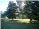 101 Tygum Road, Waterford West QLD 4133