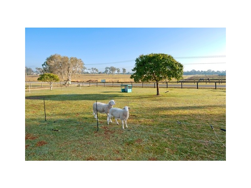 41 Moloney Road, Waterford West QLD 4133
