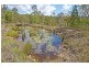 237 Veivers Road, Cedar Creek QLD 4207
