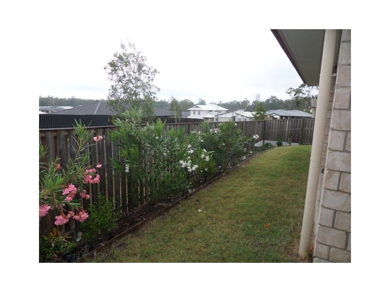 19 Frankland Ave, Waterford QLD 4133
