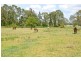 Tanah Merah QLD 4128