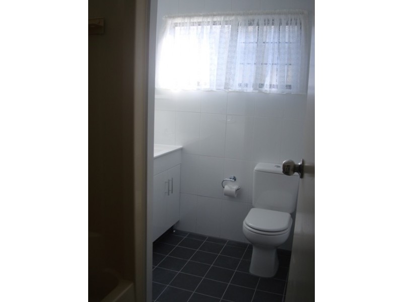 10 Isabel Street, Loganlea QLD 4131