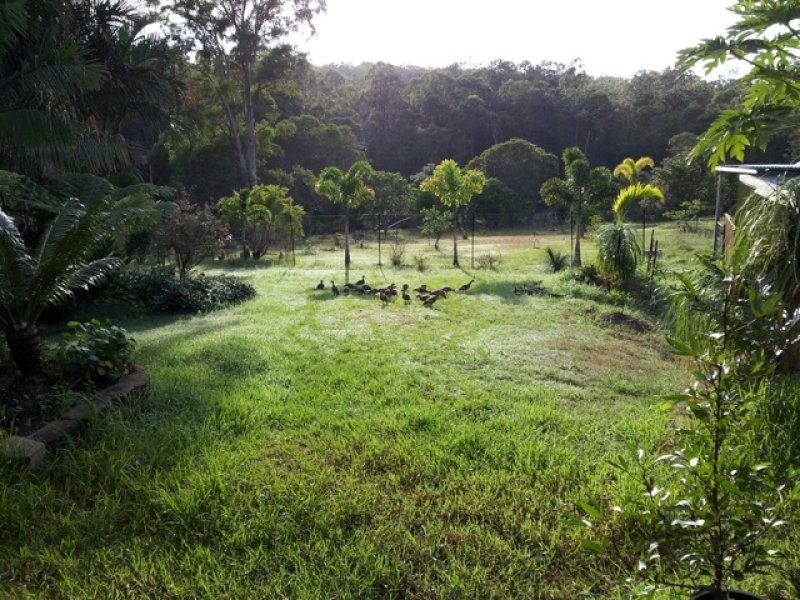 Bahrs Scrub QLD 4207