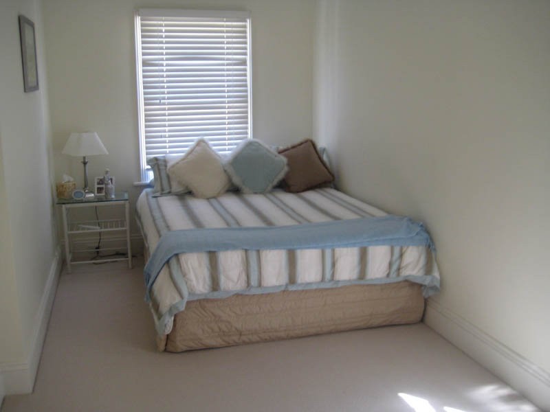 141 Hargrave Street, Paddington NSW 2021