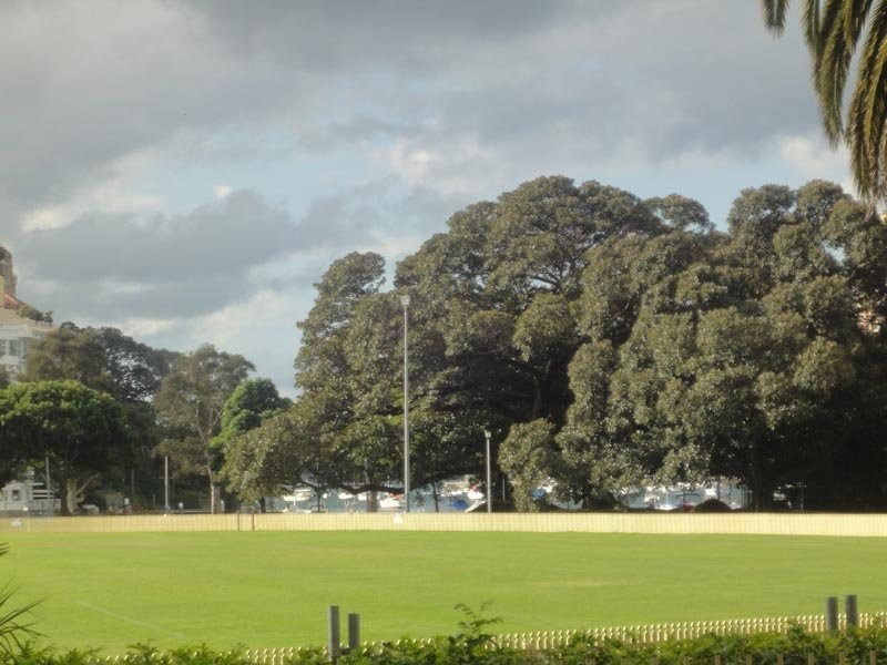 1A Clement Place, Rushcutters Bay NSW 2011