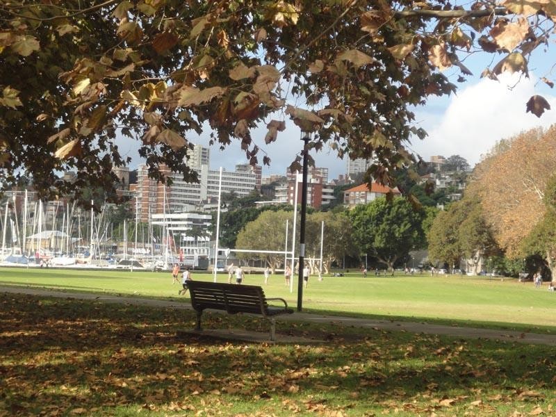 1A Clement Place, Rushcutters Bay NSW 2011