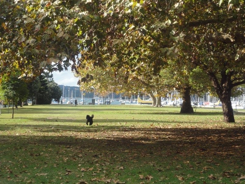 1A Clement Place, Rushcutters Bay NSW 2011