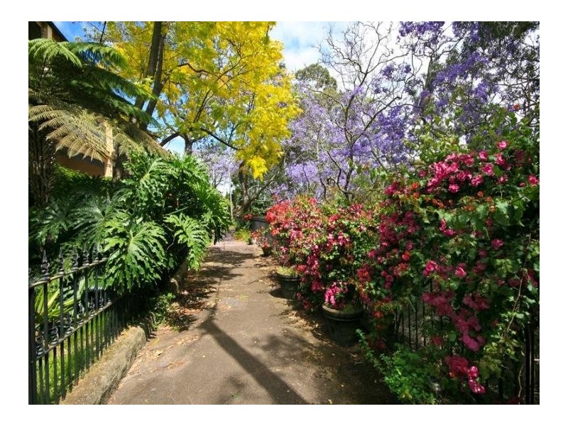 105 Adelaide Parade, Woollahra NSW 2025