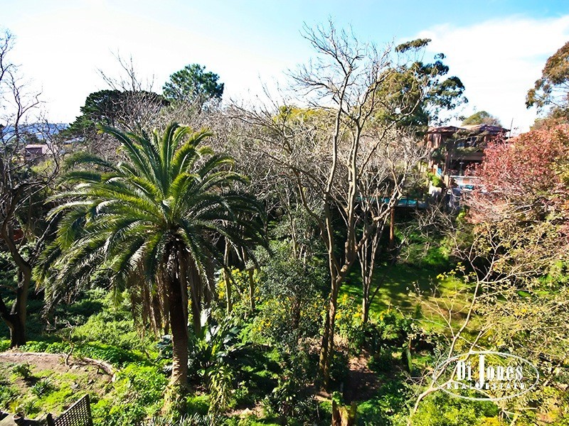 5/84 Drumalbyn Road, Bellevue Hill NSW 2023