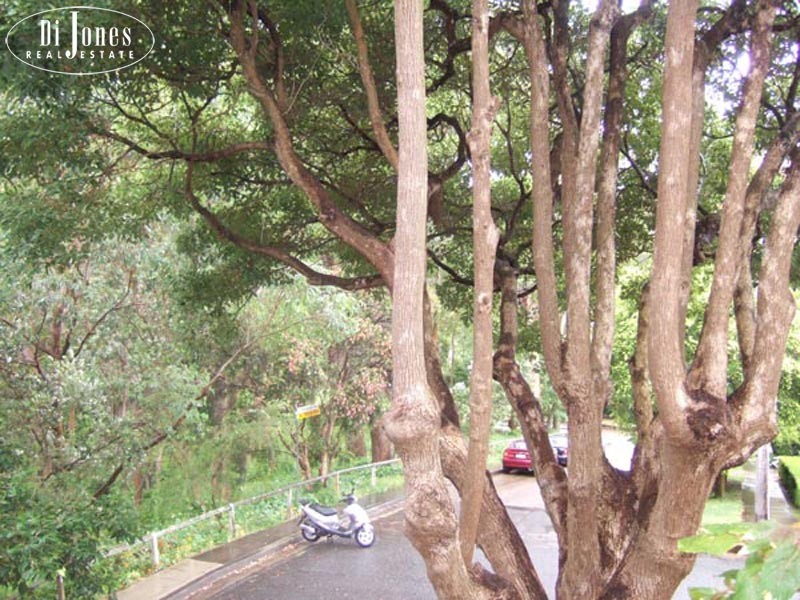 8/18 Kendall Street, Woollahra NSW 2025