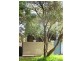 31 Henry Street, Queens Park NSW 2022