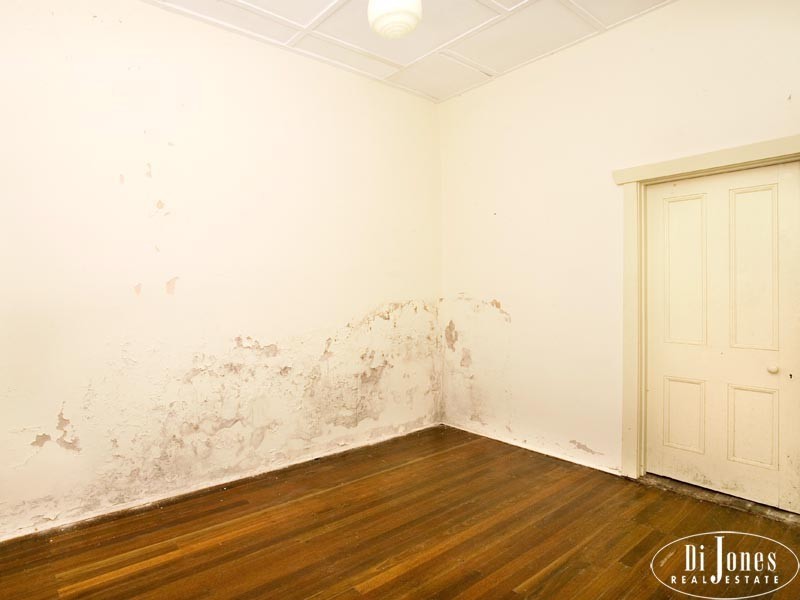 175 Macpherson Street, Bronte NSW 2024