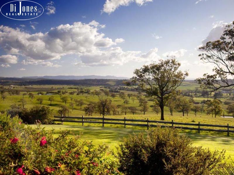 836 Luskintyre Road, Luskintyre NSW 2321