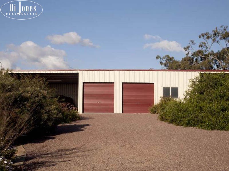 836 Luskintyre Road, Luskintyre NSW 2321