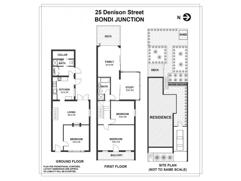 25 Denison Street, Bondi Junction NSW 2022