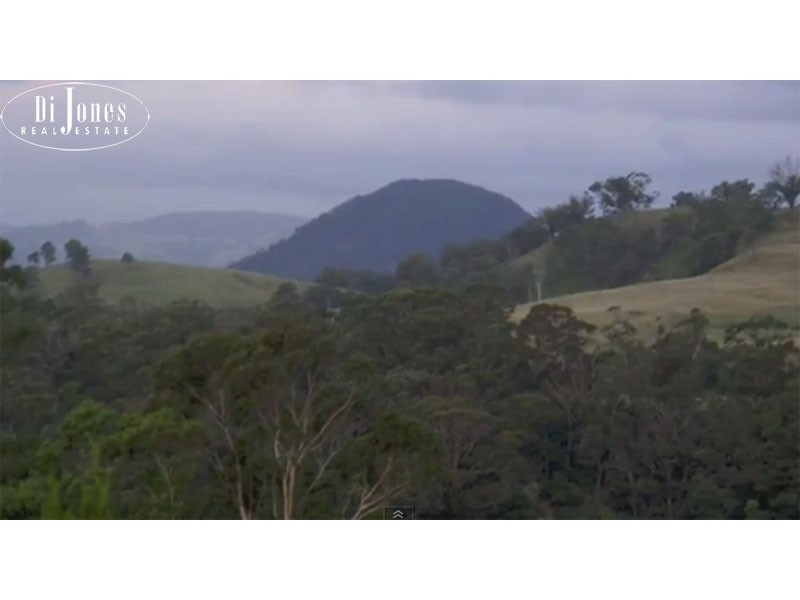 90 Mount Minderoo Lane, High Range NSW 2575