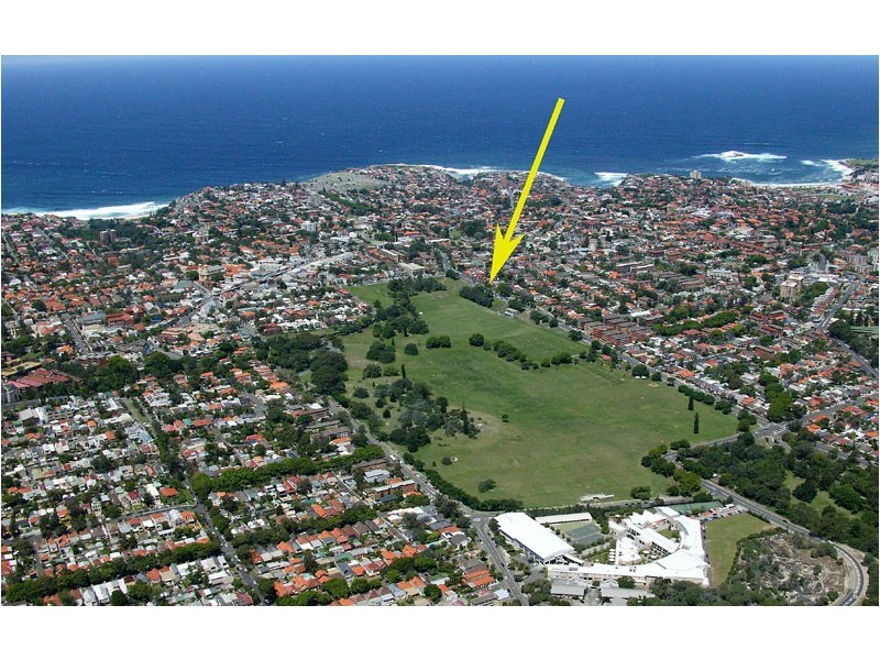 287 Darley Road, Randwick NSW 2031