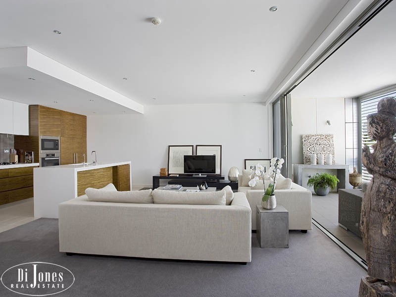 Apartment 4402 ‘Advanx’ 12-14 Neild Avenue, Rushcutters Bay NSW 2011