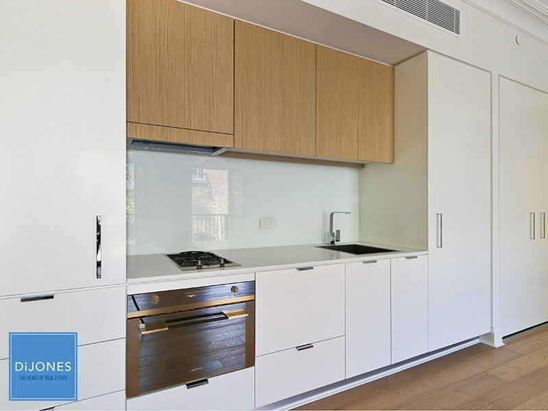 203/18 Bayswater road, Potts Point NSW 2011