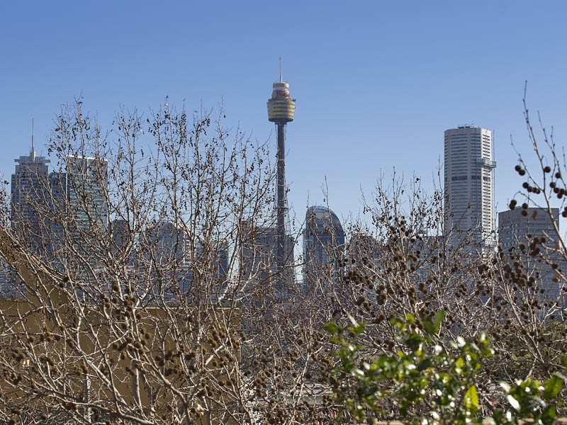 Apt 1 ‘Panorama’, 204 Victoria Street, Potts Point NSW 2011