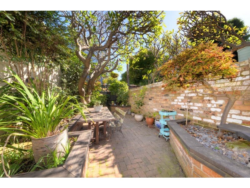 8 Ormond Street, Paddington NSW 2021