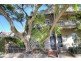 167 Darley Road, Randwick NSW 2031