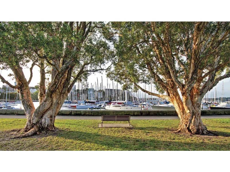 615/2 Neild Avenue, Rushcutters Bay NSW 2011