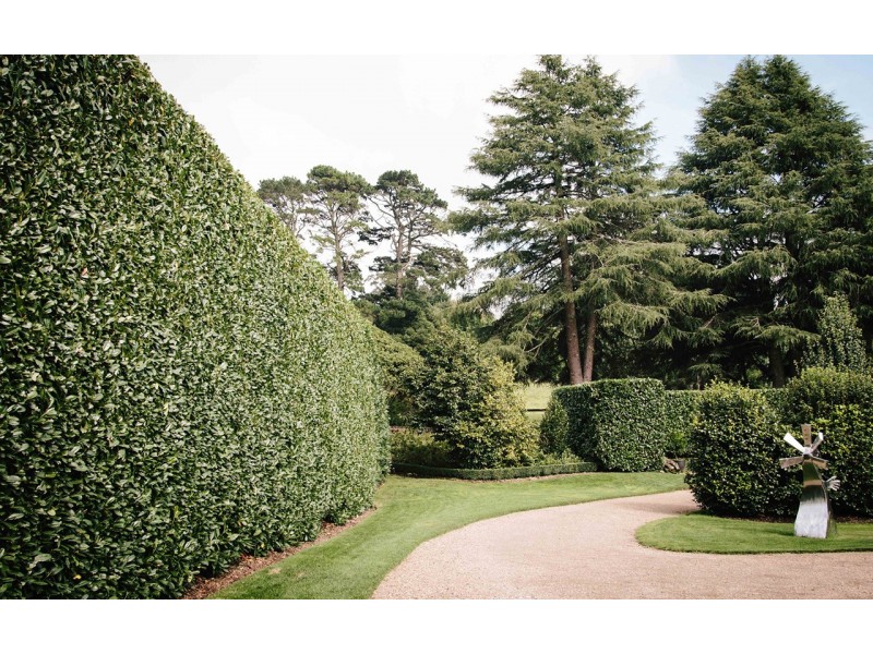 5 Barrett Street, Burrawang NSW 2577