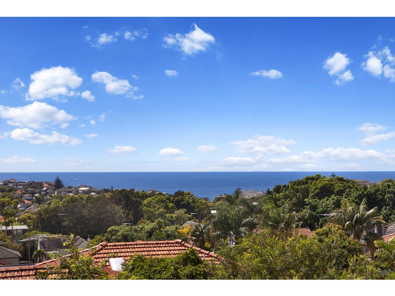 29 Knox Street, Clovelly NSW 2031