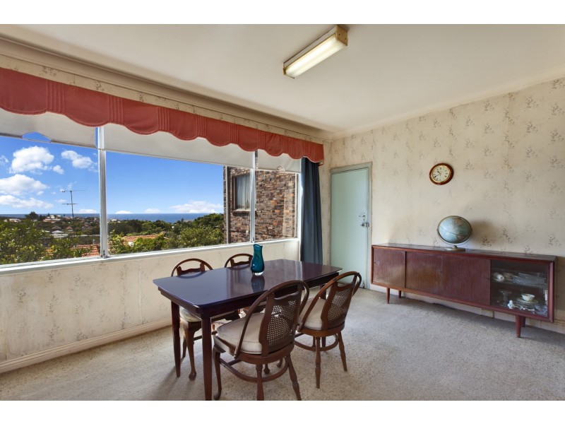 29 Knox Street, Clovelly NSW 2031