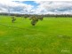 1395 Torrens Valley Road, Birdwood SA 5234