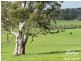 1395 Torrens Valley Road, Birdwood SA 5234