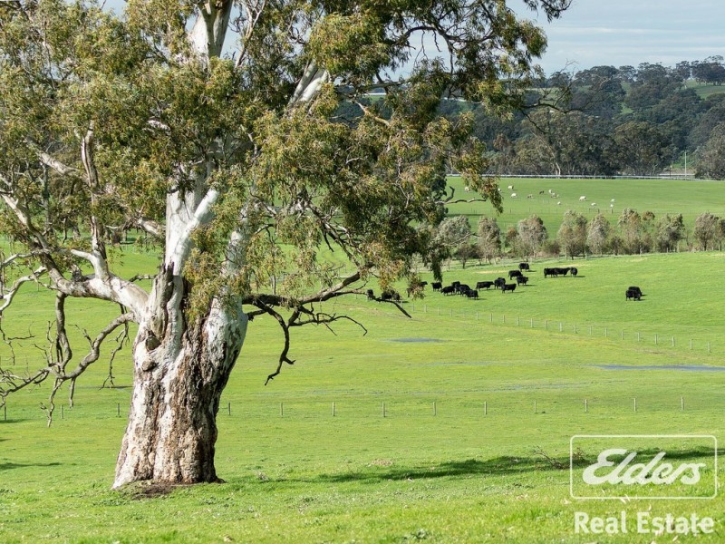1395 Torrens Valley Road, Birdwood SA 5234
