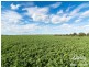403 Dry Plains Road, Strathalbyn SA 5255