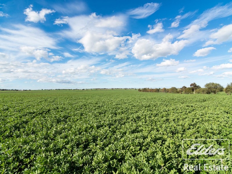 403 Dry Plains Road, Strathalbyn SA 5255