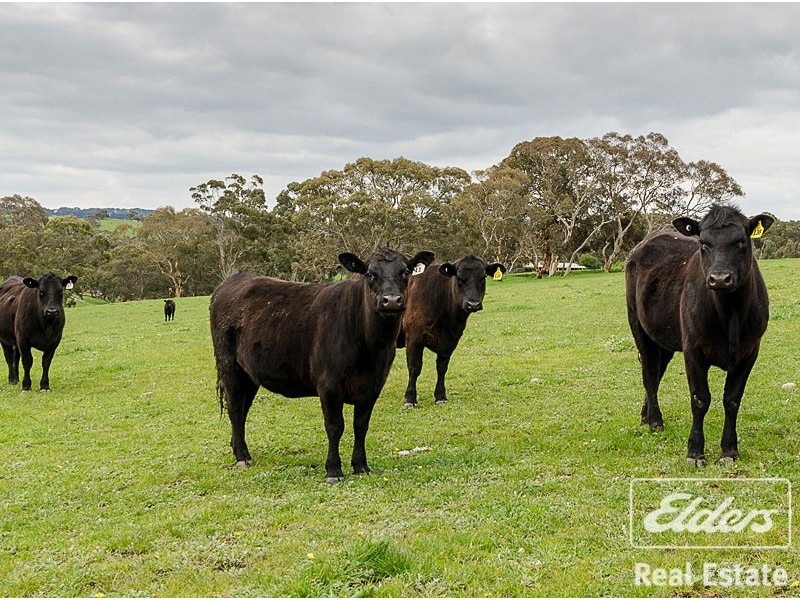499 Mosquito Hill Road, Mount Compass SA 5210