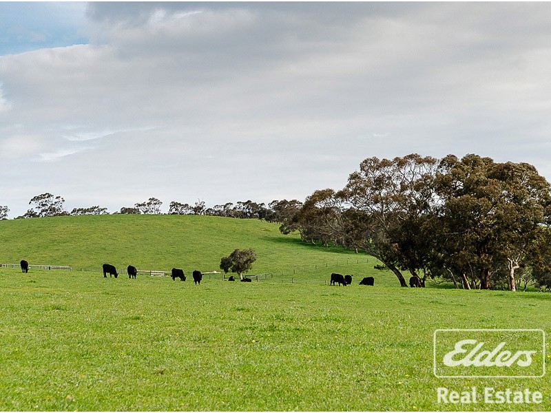 499 Mosquito Hill Road, Mount Compass SA 5210