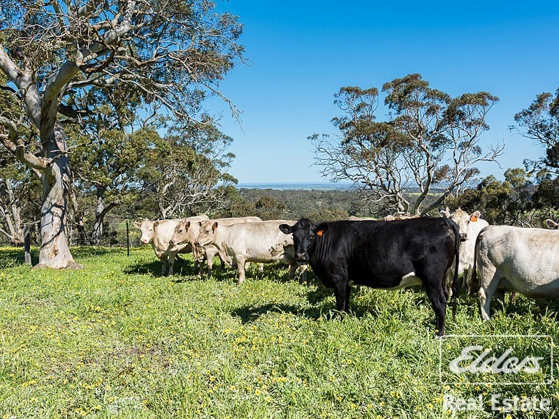 336 Long Valley Road, Wistow SA 5251