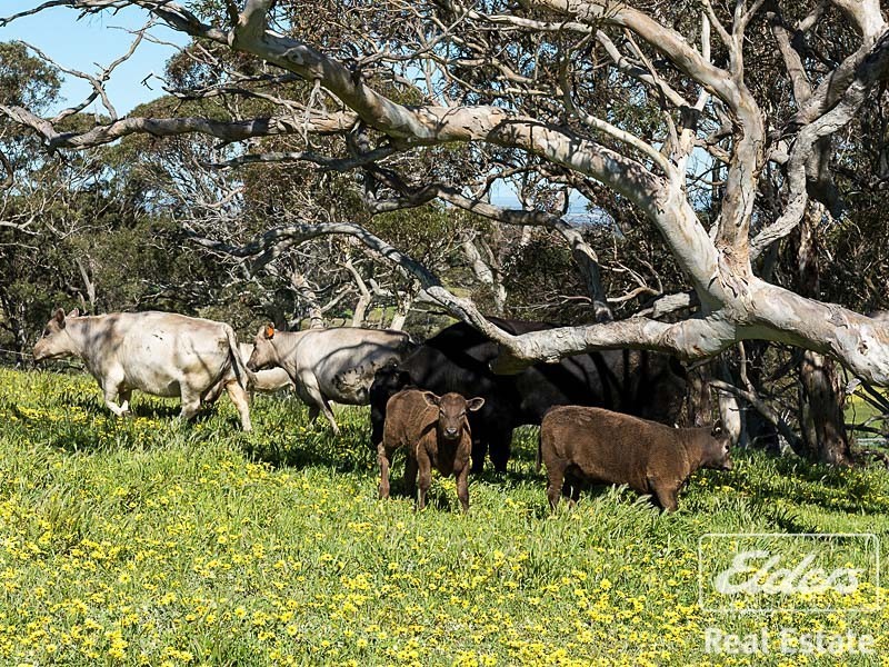 336 Long Valley Road, Wistow SA 5251