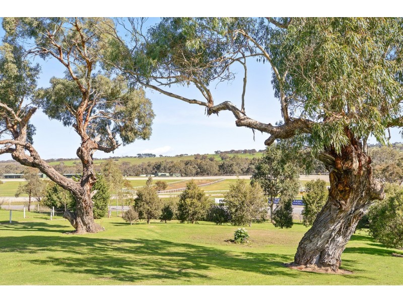 20 Lipizzaner Drive, Hindmarsh Valley SA 5211