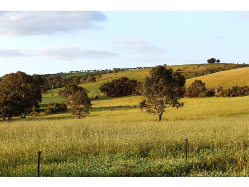 140 Mine Flat Road, Strathalbyn SA 5255
